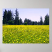 Poster Pleine floraison (Devant)