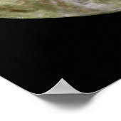 Poster Pleine lune (Coin)