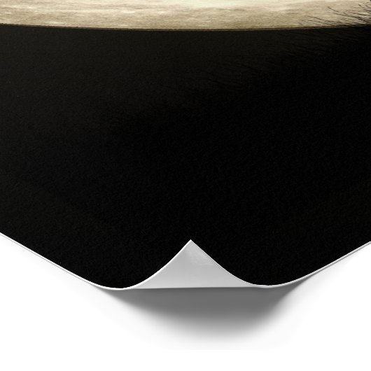 Poster Pleine lune (Coin)