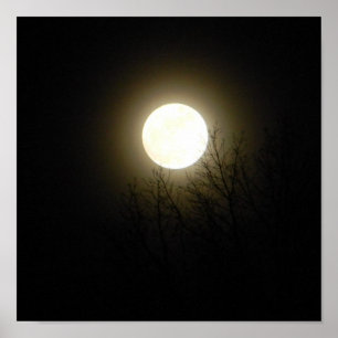 Poster Pleine lune