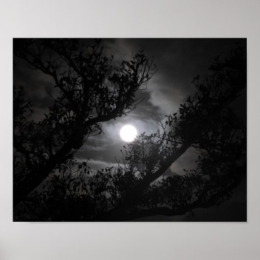 Poster Pleine lune à travers les branches (Devant)
