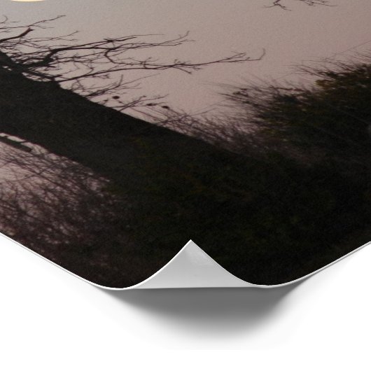 Poster Pleine lune à travers les branches d'arbre (Coin)