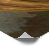 Poster Pleine lune citrouille Jack-o'-lantern Witch (Coin)