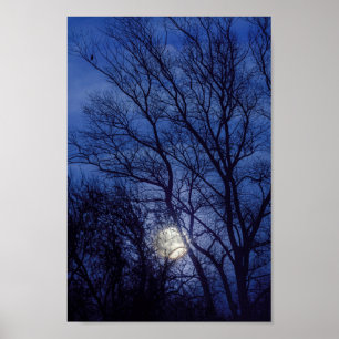 Poster Pleine lune et clair de lune brillant par des