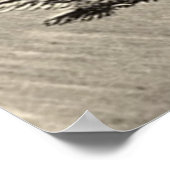 Poster Pleine lune Monochrome Sorcière Volant Broom Bat (Coin)