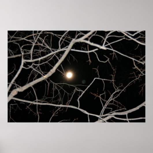 Poster Pleine lune sur l'affiche Web (Devant)