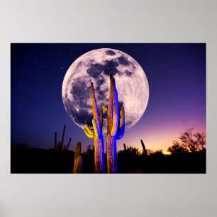 Poster Pleine lune sur Saguaro Cactus