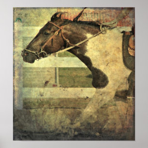 Poster Pleine Vitesse, Pinto Pony