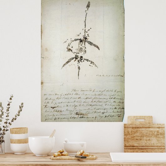 Poster Plesiosaurus dolichodeirus (Cuisine)