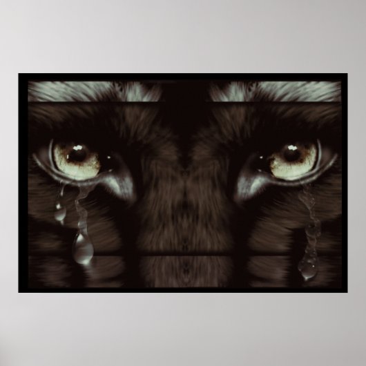 Poster Pleure sur le loup (Devant)