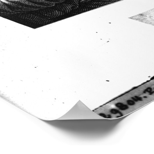 Poster Pliny the Elder (Coin)