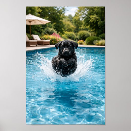 Poster Plongeon de chiot Labrador noir (Devant)