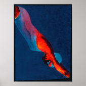 Poster Plongeur 2011 (Devant)