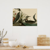 Poster Plongeur à gorge rouge (Cuisine)