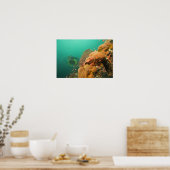 Poster plongeur & Scorpionfish Scorpanopsis (Cuisine)