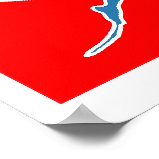 Poster Plongeur Scuba Diver-Down (Coin)