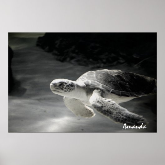 Poster Plongeur Tortue (Devant)