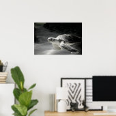 Poster Plongeur Tortue (Bureau à domicile)