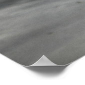 Poster Plongeur Tortue (Coin)