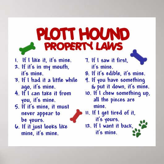 POSTER PLOTT HOUND PL2 (Devant)