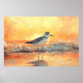 Poster Plover Standing in Ocean Waves During Sunset (Devant)