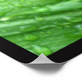 Poster Pludrops (Coin)