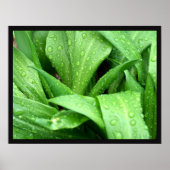 Poster Pludrops (Devant)