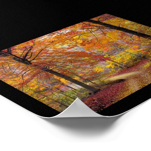 Poster Pluie d'automne douce (Coin)