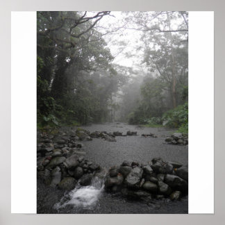 Poster Pluie d'Hawaii