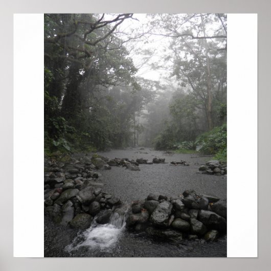 Poster Pluie d'Hawaii (Devant)