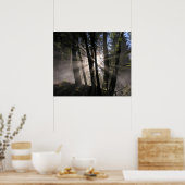 Poster Pluie Forest Sun Rays (Cuisine)