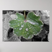 Poster pluie lourde (Devant)