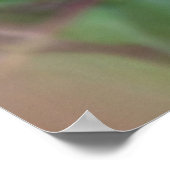 Poster Pluie sur les feuilles (Coin)