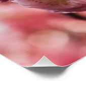 Poster Plum à fleurs - Paradize rose (Coin)