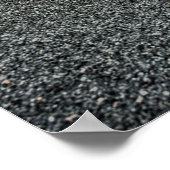 Poster Plum Crazy Roadrunner (Coin)