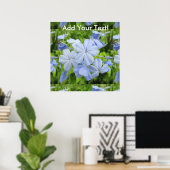 Poster Plumbago Flower Blue (Bureau à domicile)