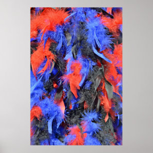 Poster plume boa de couleurs rouge bleu et noir