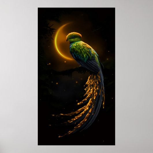 Poster Plume de la Lueur de la Nuit (Devant)