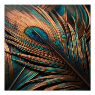 Poster Plume de Paon Cuivre sarcelle Macro Luxe