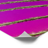 Poster Plume de queue d'un paon (Coin)