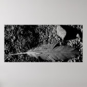 Poster Plume humide (Devant)