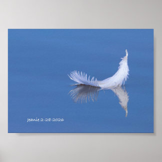 Poster Plume sur l'eau