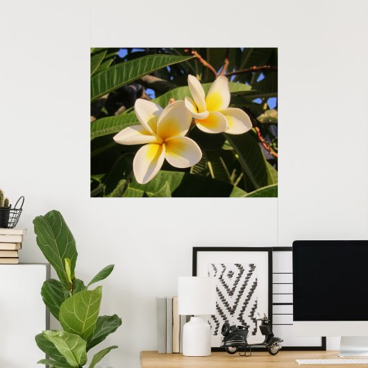 Poster Plumeria (Bureau à domicile)