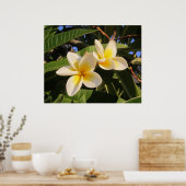 Poster Plumeria (Cuisine)