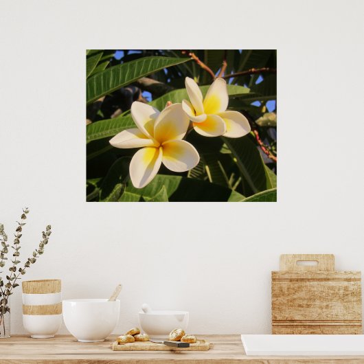Poster Plumeria (Cuisine)