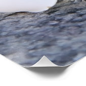 Poster Plumeria (Coin)