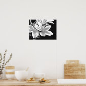 Poster Plumeria (Cuisine)