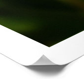 Poster Plumeria (Coin)