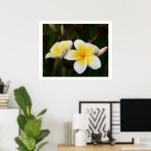 Poster Plumeria (Bureau à domicile)