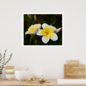 Poster Plumeria (Cuisine)